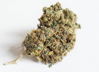 California to Require All Marijuana to be Lab Tested. What Will Happen to Weed That Fails the Lab?