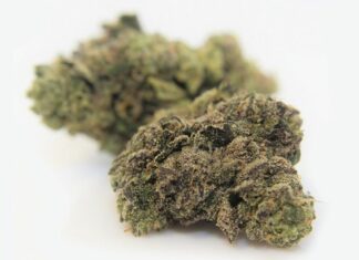 Getting Pleasantly Stoney with Sherblato from Holistic Healing Collective in Richmond