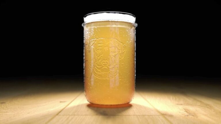 Why Not Combine Your Two Favorite Pastimes, Beer and Bud?
