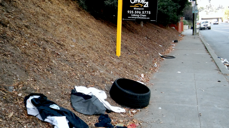 Town Business: Who’s Responsible for Illegal Dumping in Oakland?