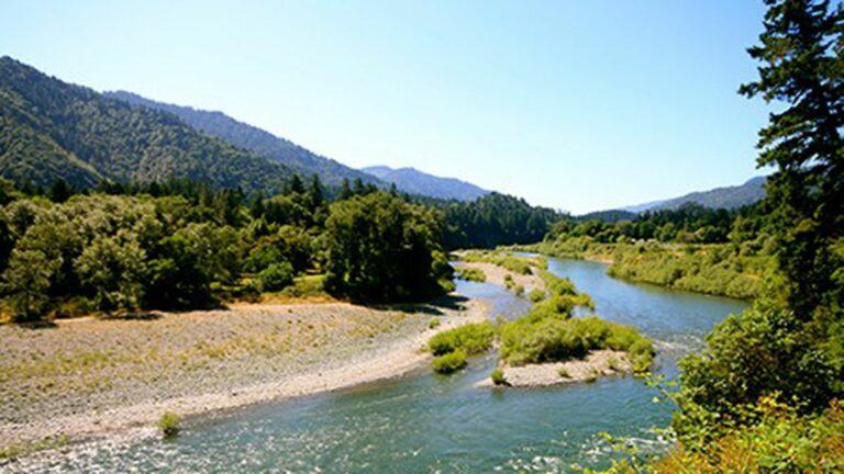 Water Transfers Threaten Fish and Tribes