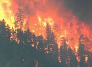 Wildfires in the West Are Only Going to Get Worse