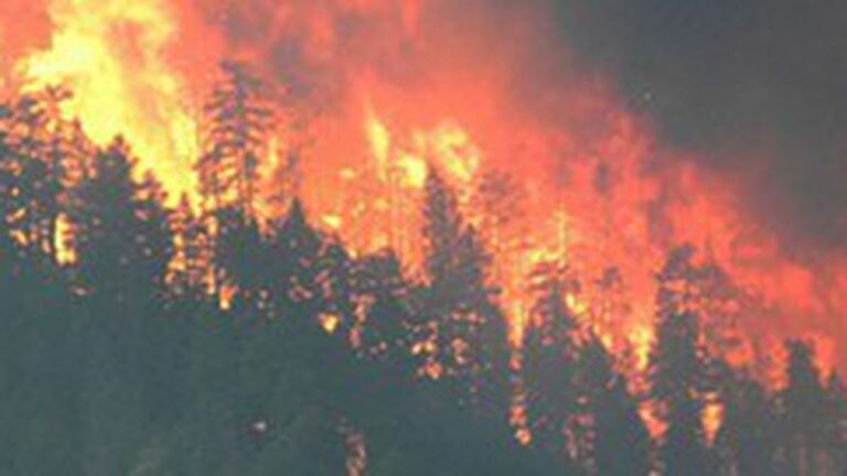 Wildfires in the West Are Only Going to Get Worse