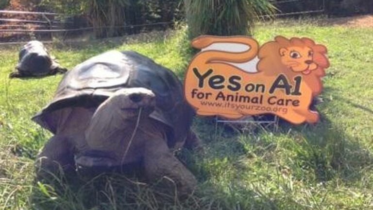 Oakland Zoo Operators Violate Election Laws