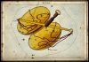 Free Will Astrology: Week of Sept. 23 Free Will Astrology: Week of Sept. 23
