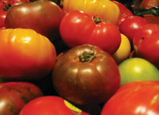 Three Tomatoes in Alameda: The talk of climate change deniers points to a way forward