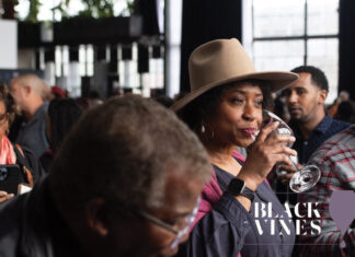 Tech and Terroir: Fern Stroud’s diverse talents grow Black Vines