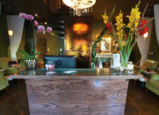 Emerald Elegance: Simply Green Day Spa