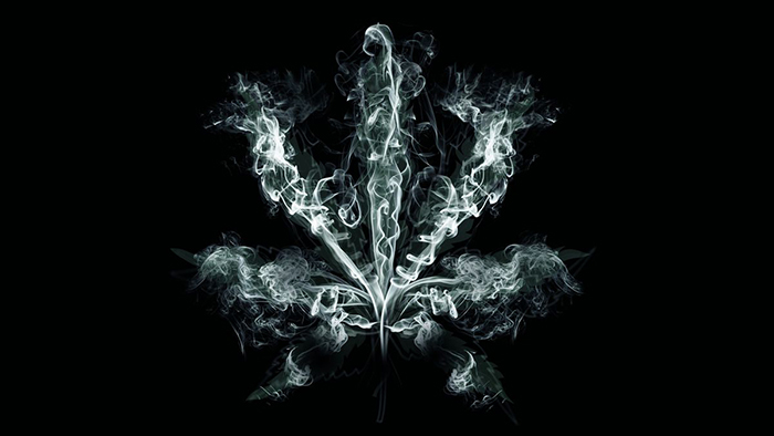 CHRONIC EBX2236