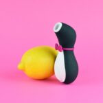 best vibrators, pleasure toys