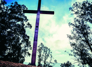 Our Cross to Bear