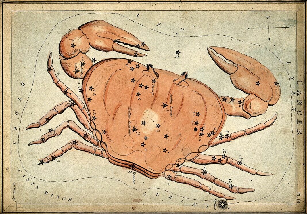 Free Will Astrology: Week of July 17