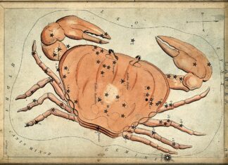 Free Will Astrology: Week of June 24 Free Will Astrology: Week of June 24