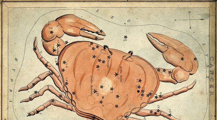 Free Will Astrology: Week of June 24 Free Will Astrology: Week of July 1