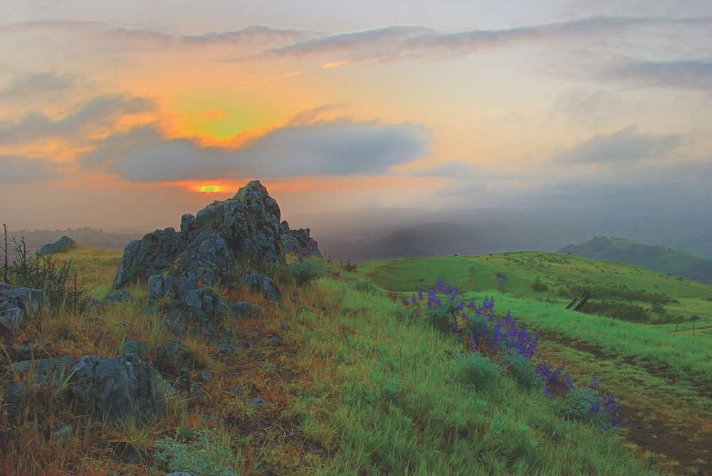 Best of East Bay 2023 - Recreation, Sibley Volcanic Regional Preserve