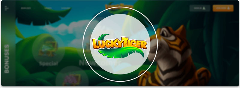 lucky tiger