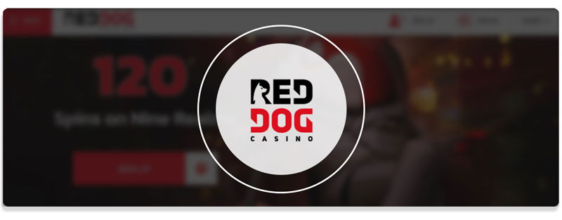 red dog casino