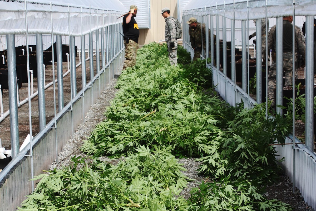 CHRONIC EBX2328_web New Drug War