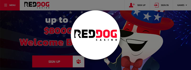 reddog casino