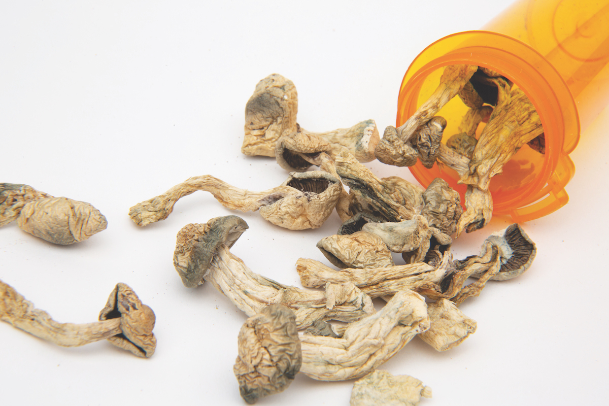 Plastic,Prescription,Medicine,Bottle,Knocked,Over,Containing,Dried,Psilocybe,Cubensis Long Strange Trip