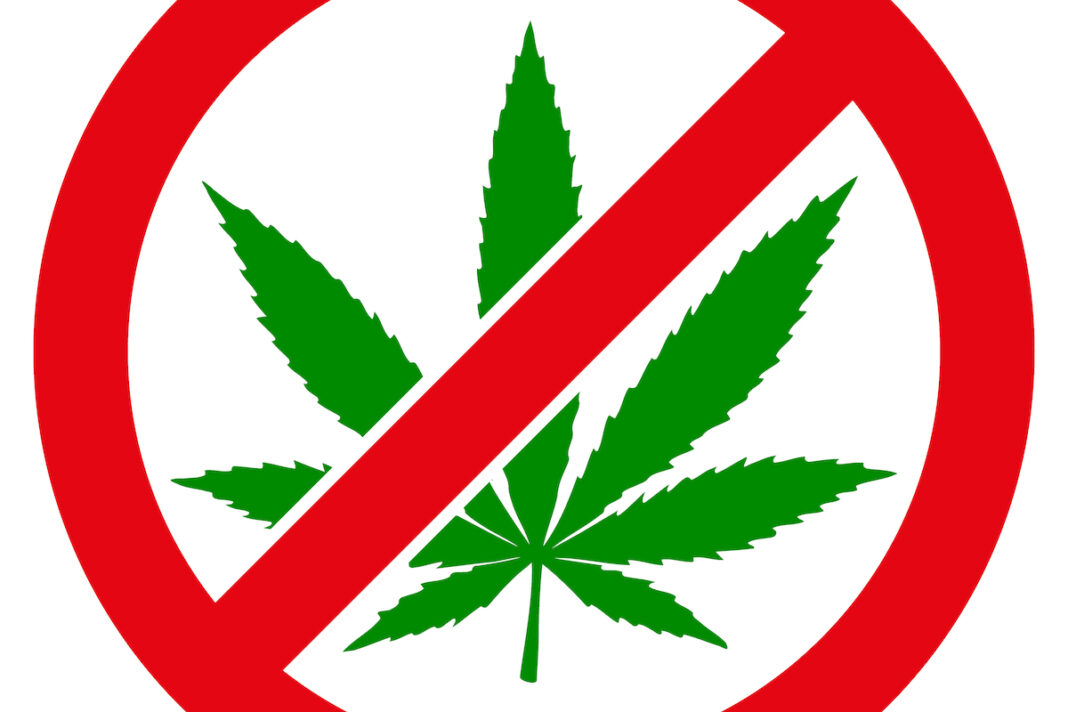 Forbid,Cannabis,Icon,With,Flat,Style.,Isolated,Raster,Forbid,Cannabis Local Control Fail