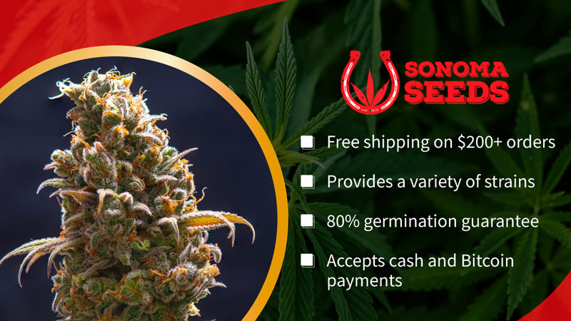 sonoma seeds