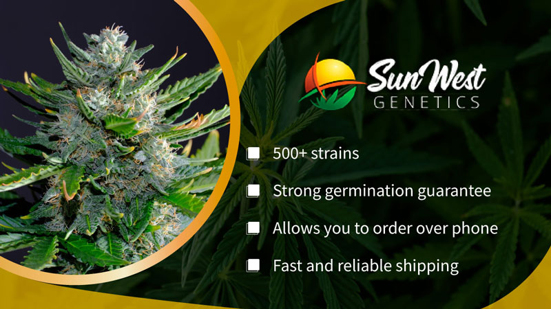 sunwest genetics