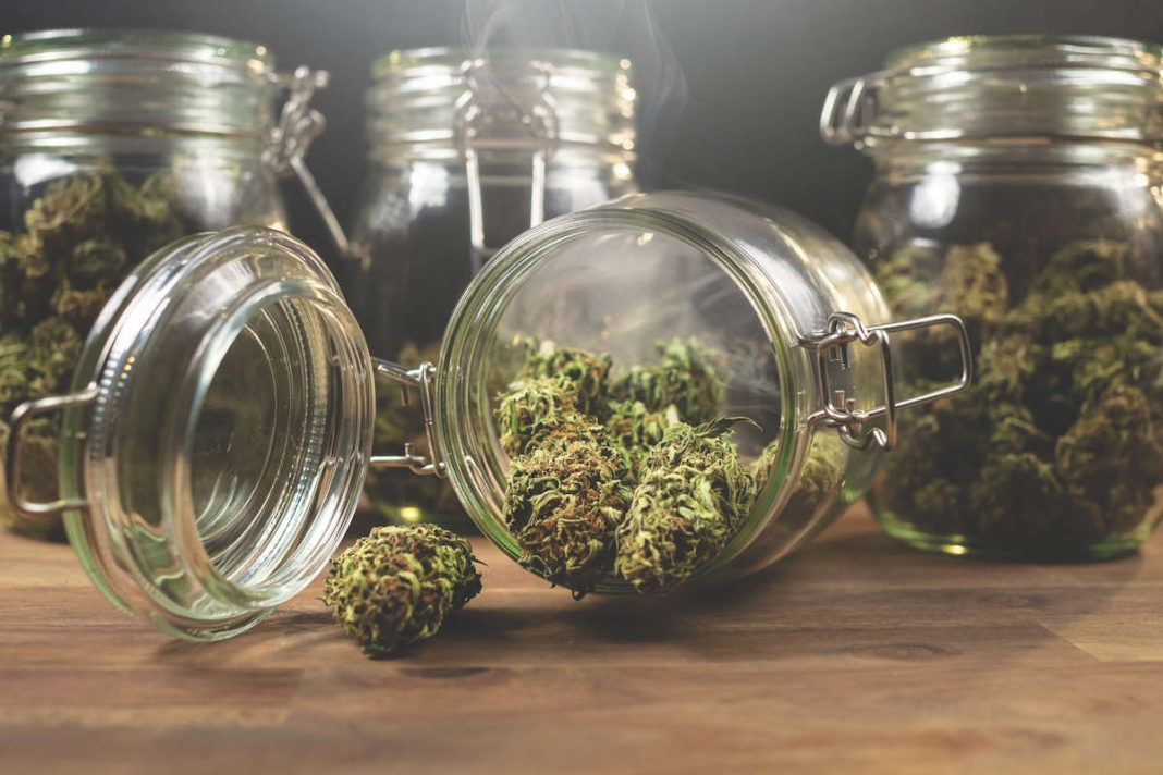 Herbal Eclipse: Will Buds Overtake Booze?