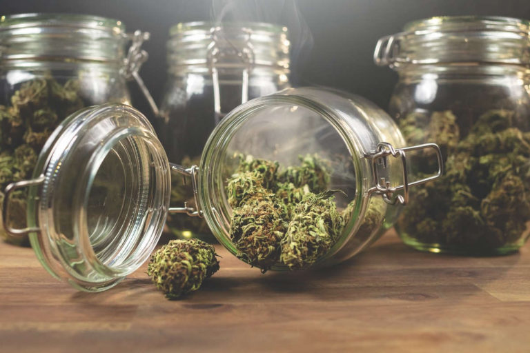 Herbal Eclipse: Will Buds Overtake Booze?