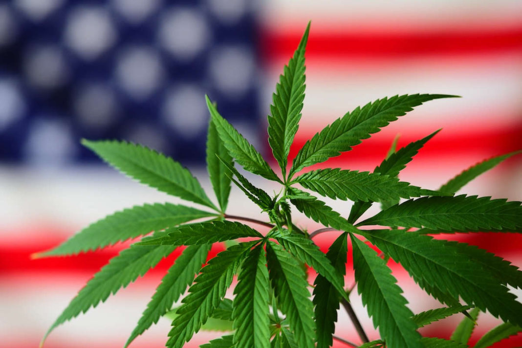 Flag,America,Cannabis,Plant,.,Marijuana,Legalize Without federal legalization, hemp products remain in limbo