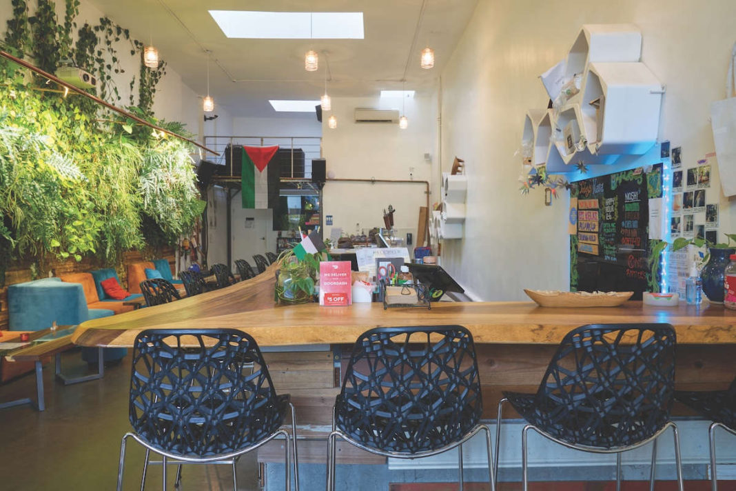 Local kava bars power spirit-free community