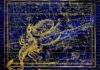 Free Will Astrology: Week of Oct. 21 Free Will Astrology: Week of Oct. 21