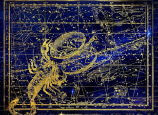 Free Will Astrology: Week of Oct. 21 Free Will Astrology: Week of Oct. 21