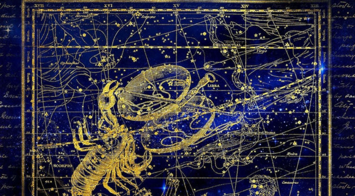 Free Will Astrology: Week of Oct. 21 Free Will Astrology: Week of Oct. 21