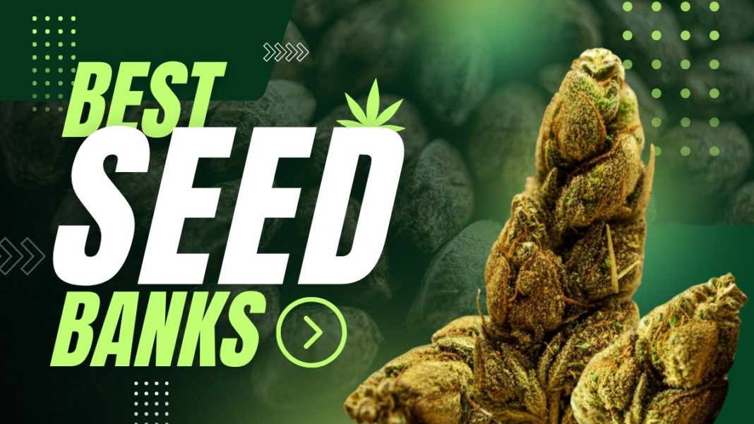 Best Seed Banks