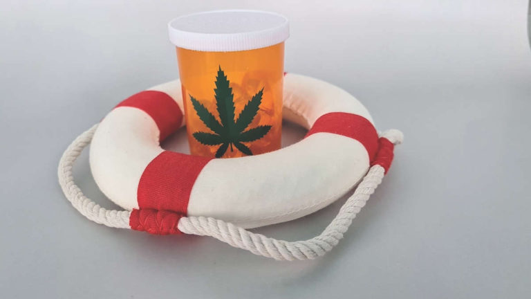 How does cannabis affect opiate addiction?