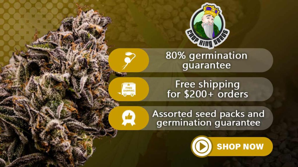 crop king seeds