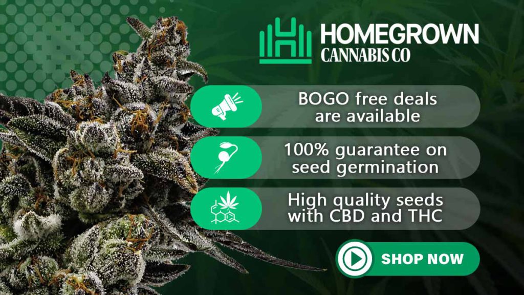 homegrown cannabis co