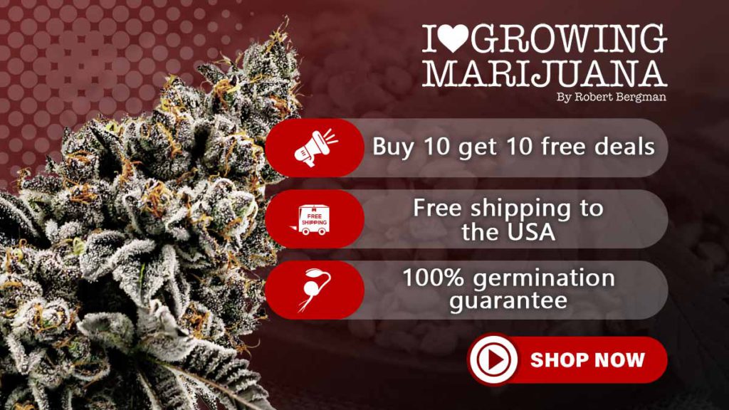 i love growing marijuana, ilgm