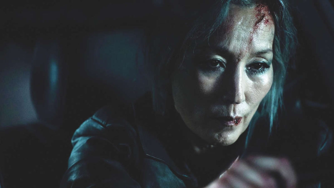 Senior assassin wields steel in South Korean hit