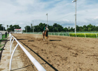 How Weather Conditions Impact Race Day Outcomes Weather influences horse racing results