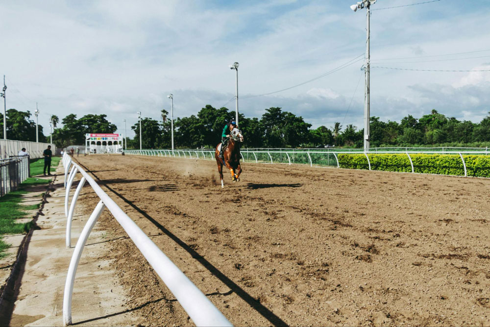 Weather influences horse racing results