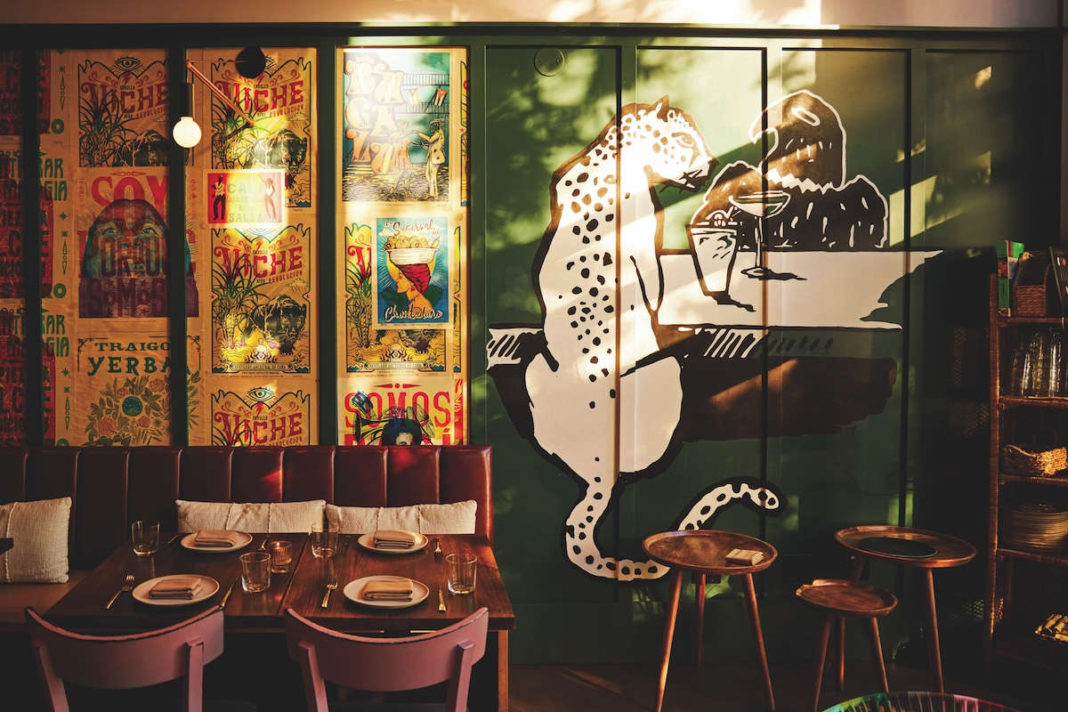 Northgate nights heat up