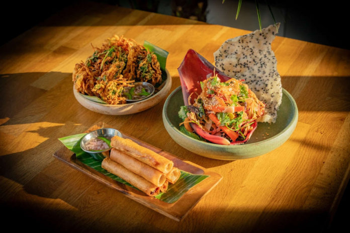 Understory reopens in Fruitvale Understory reopens in Fruitvale