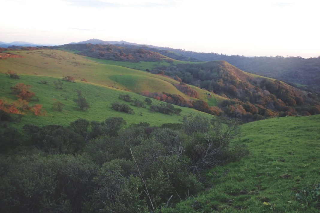 The Wildcat divide exposes trail politics