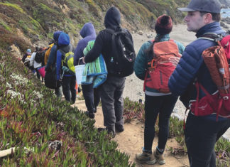 Edible ecosystems grow wildly from shoreline to forest Edible ecosystems grow wildly from shoreline to forest
