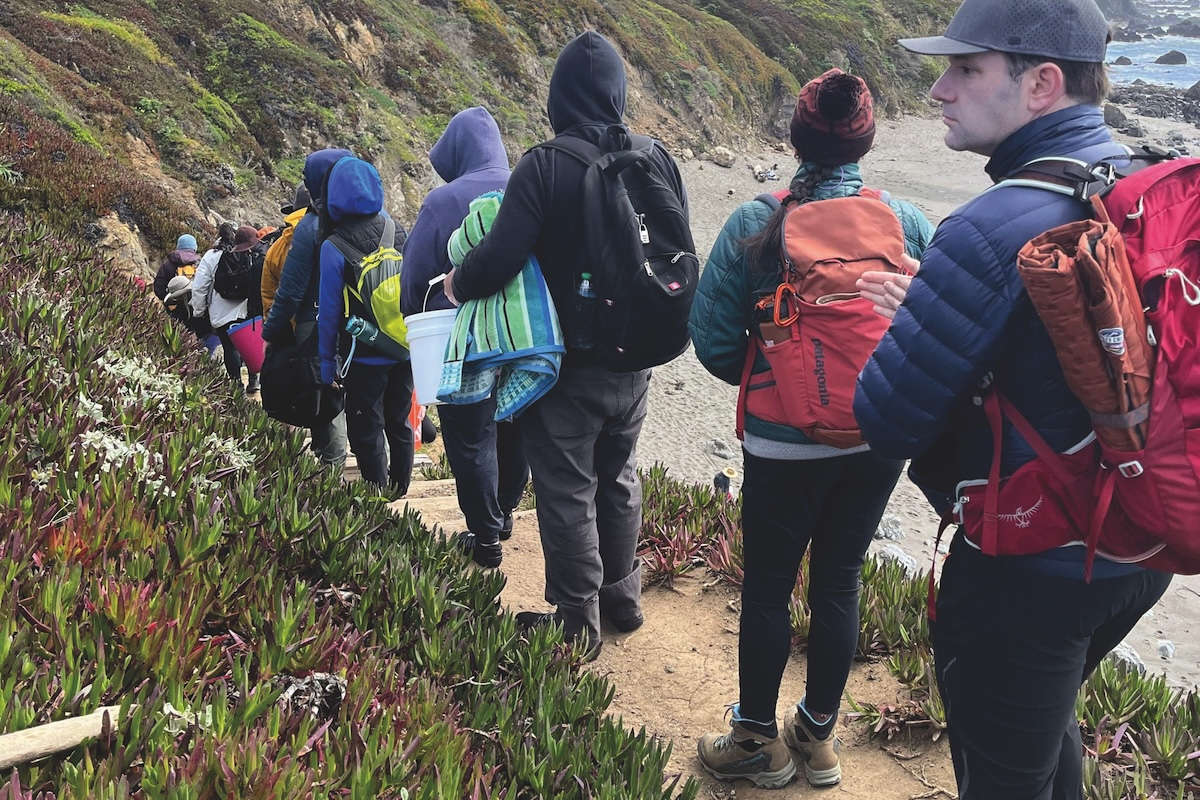 Edible ecosystems grow wildly from shoreline to forest