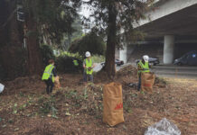 Temescal garden grows roots and resistance on Caltrans land Temescal garden grows roots and resistance on Caltrans land