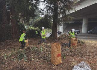 Temescal garden grows roots and resistance on Caltrans land Temescal garden grows roots and resistance on Caltrans land