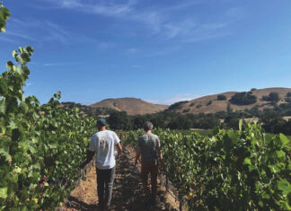Richmond’s Les Lunes elevates grapes with natural ascent Richmond’s Les Lunes elevates grapes with natural ascent